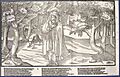 The Image of Irelande - plate11