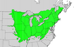 Tlilia americana map.png