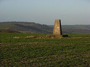 Trig point, Watership Down - geograph.org.uk - 305480