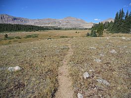 Photo of the Uinta Highline Trail