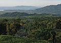 View of the northeast coast of Luzon from the foothills of Mt. Cagua - ZooKeys-266-001-g005