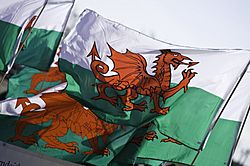 Welsh flags, St David's Day 2009 Baner Cymru, Dydd Gŵyl Dewi 2009