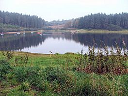 A picture of Wistlandpound Reservoir from the south bank