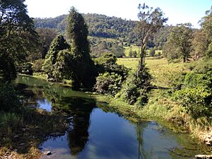 Wongawallan Creek, Queensland