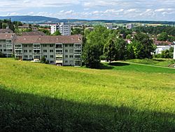 Zürich - Käferberg - Affoltern IMG 3192