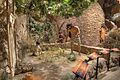 15 23 1113 creation museum