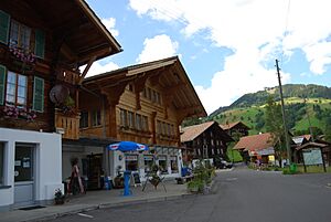 2011-07-25-Habkern (Foto Dietrich Michael Weidmann) 089