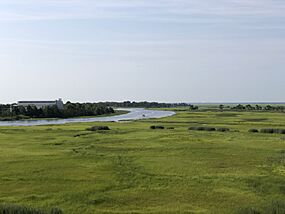 2021-07-22 09 30 37 Marshes along the lower reaches of the Bass River viewed from New Jersey State Route 444 (Garden State Parkway) in Bass River Township, Burlington County, New Jersey