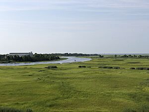 2021-07-22 09 30 37 Marshes along the lower reaches of the Bass River viewed from New Jersey State Route 444 (Garden State Parkway) in Bass River Township, Burlington County, New Jersey
