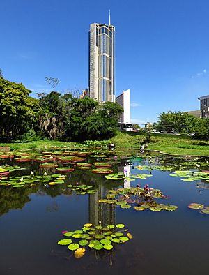 3.Laguna Venezuela, Jardín Botanico de la UCV y parque Central en Caracas, Venezuela