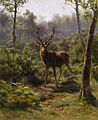A Stag, by Rosa Bonheur