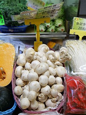 A White Mushrooms in Hong Kong