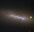 A cosmic atlas NGC 4248