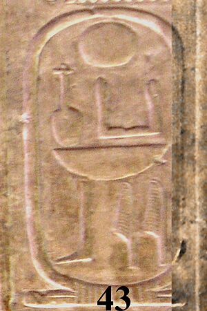 Abydos KL 07-04 n43
