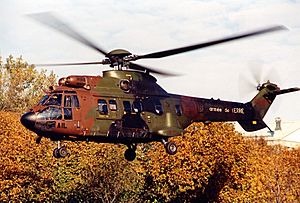 Aerospatiale AS-332M1 Super Puma, France - Army AN0185496