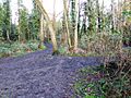 Alder Moors (3)