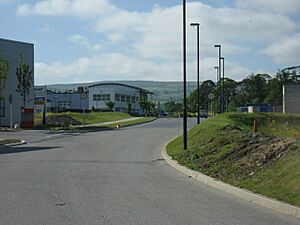 Baldonnel Industrial estate - geograph.org.uk - 181938