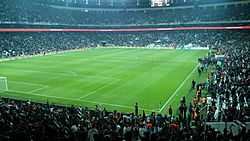 Beşiktaş J.K. vs Bursaspor 11 April 2016 (5).jpg