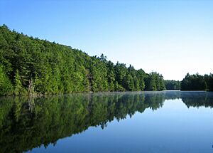 Bigelow pond 9.6.2005