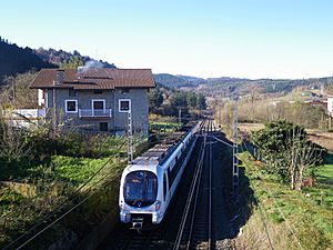A train in the Barroeta district of the municipality of Bedia