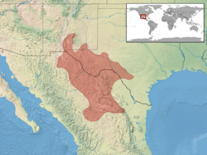 Bogertophis subocularis distribution.png