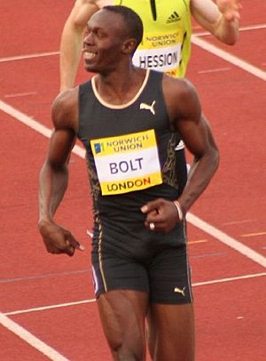 Bolt 2007.2