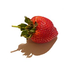 Camarosa strawberry