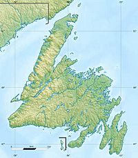Gander is located in Newfoundland