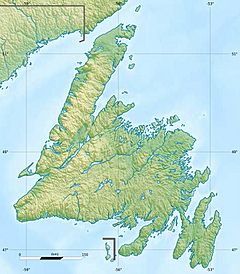 Lady Slipper Brook is located in Newfoundland