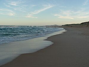 Castaways Beach looking south