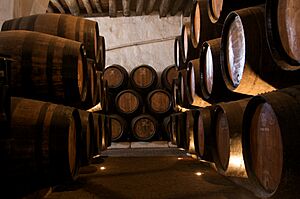 Cave do Vinho do Porto 03