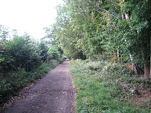 Chorleywood, Old Shire Lane - geograph.org.uk - 566497