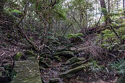 Coonong Creek Bushland Reserve Gymea Bay