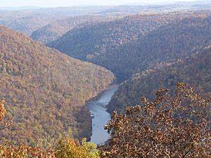 Coopers Rock State Forest.jpg
