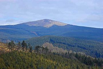 Croaghanmoira Mountain.jpg
