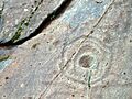 Cup and Ring marked stone at Achnbreck, Argyllshire - geograph.org.uk - 1536578