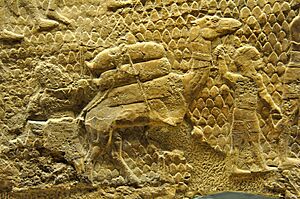 Detail of a gypsum wall relief depicting the deportation of the inhabitants of the city of Lachish by the Assyrian army. Reign of Sennacherib, 700-692 BCE, from Nineveh, Iraq, currently housed in the British Museum