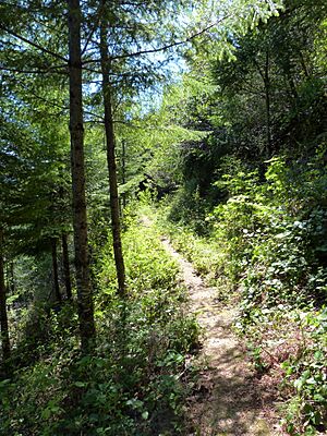 Ditch section 2 - China Ditch Oregon