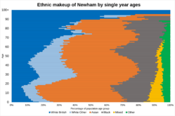 Ethnic makeup of Newham in single year age groups