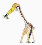 Drawing of a pterosaur