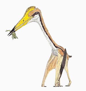 Eurazhdarcho restoration