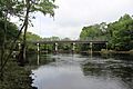 FL47 bridge over Santa Fe River, Santa Fe River Park 2
