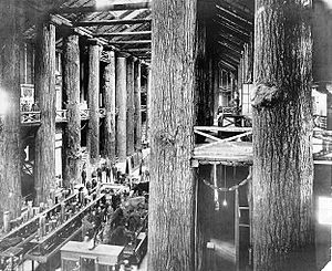 Forestry Building Lewis Clark Expo interior 1905