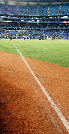 Foul Line (3339129130) (cropped)