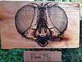 GT Nature Trail Flesh Fly