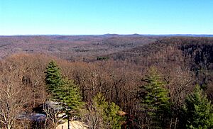 Goodpasture-standing-stone-tn1