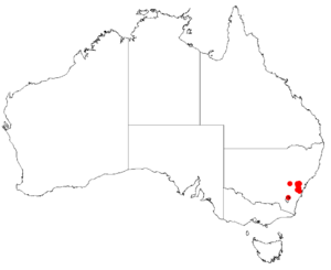 Hakea constableiDistMap27.png