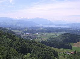 View of Hausen am Albis seen from Albis hills, Zugersee (lake) in the background