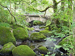 Hawk Bridge over the River Lickle - geograph.org.uk - 1438559