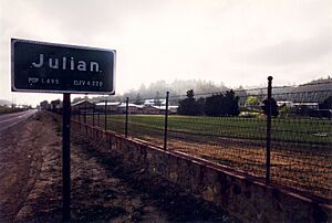 Julian1995